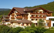Noclegi  - Hotel Alpenhof