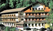 Noclegi  - Hotel Alpen Rose